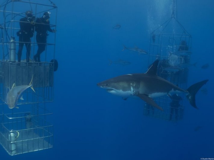 Guadalupe - Trip Gallery 