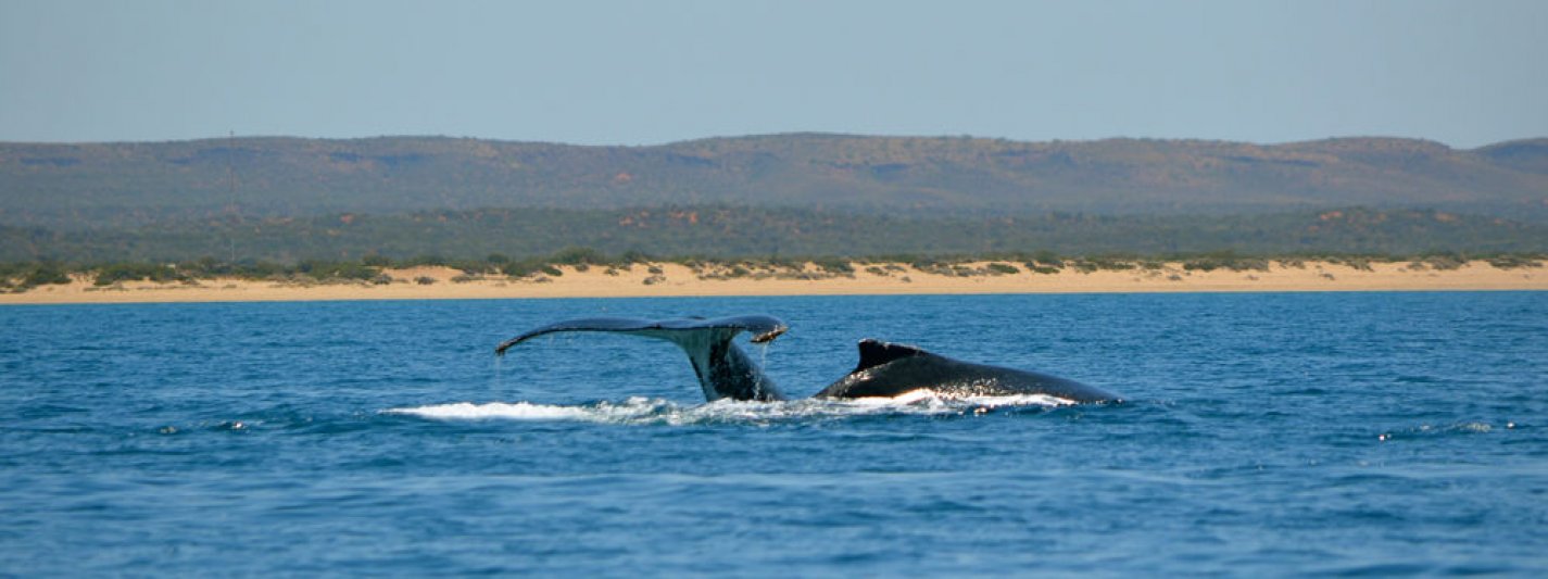 Australia - Trip Gallery 