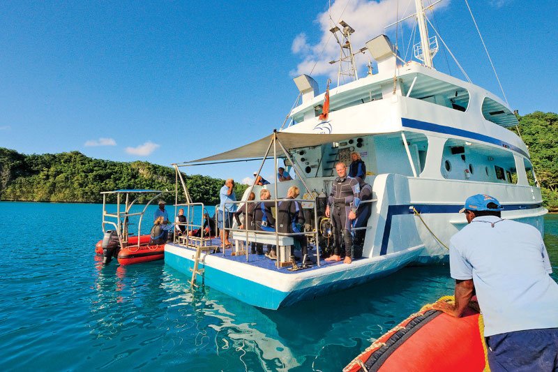 Fiji Whales Gallery 